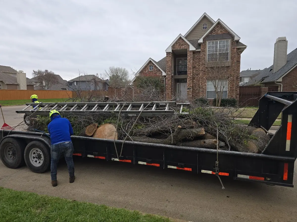 Expert Lot Clearing with proper safety equipment in Camden